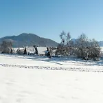 別荘 Near Chiemsee & Alps *