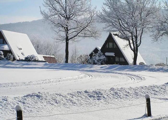 Near Chiemsee & Alps