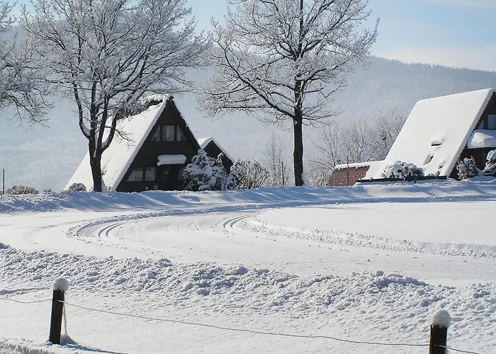Near Chiemsee & Alps *